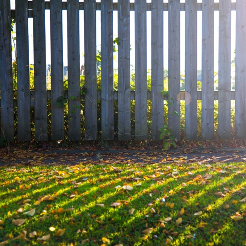 Fencing